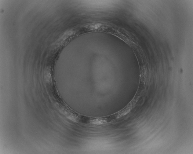 X0000074280754200609151851