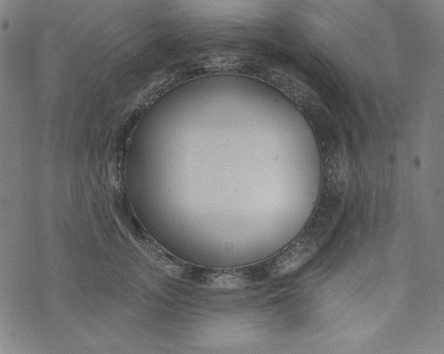 X0000074280755200609151851