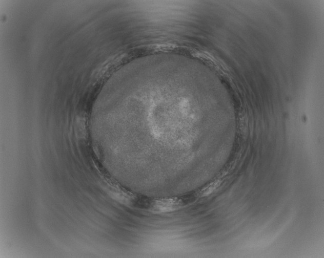 X0000074280757200609151851