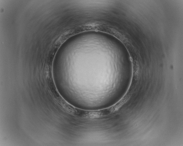 X0000074280758200609151851