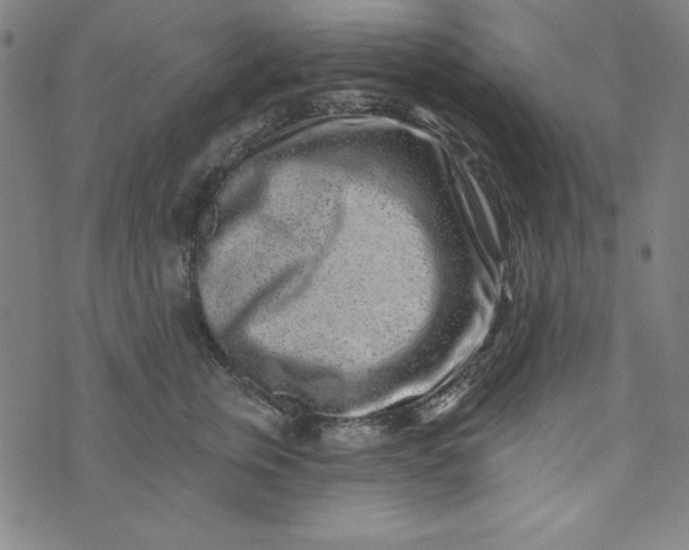 X0000074280759200609151852