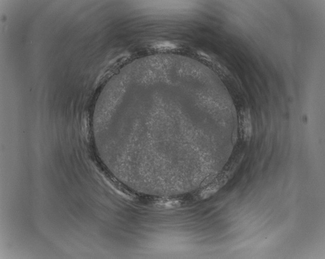 X0000074280760200609151852