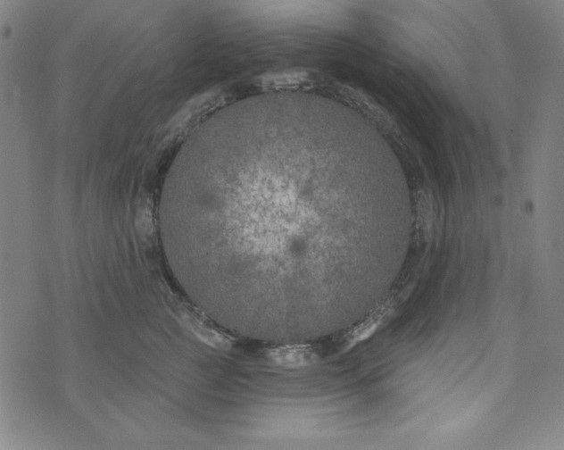 X0000074280761200609151852