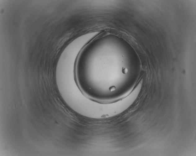 X0000074280762200609151852