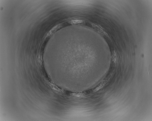 X0000074280763200609151852