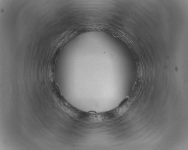 X0000074280764200609151852