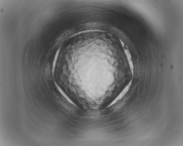 X0000074280765200609151852