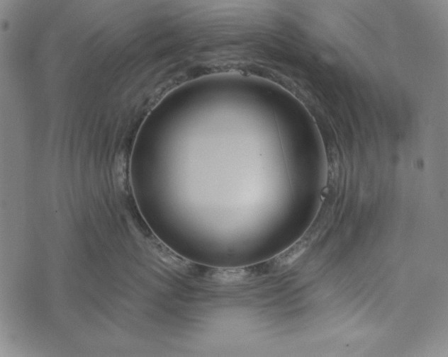 X0000074280767200609151852