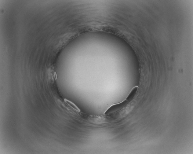 X0000074280768200609151852