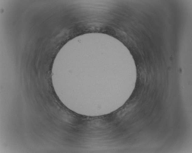 X0000074280769200609151851