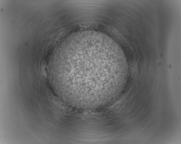 X0000074280770200609151851