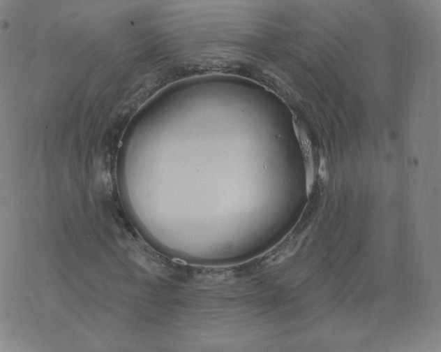 X0000074280771200609151851