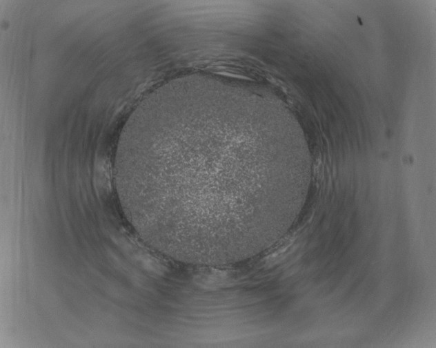 X0000074280772200609151851