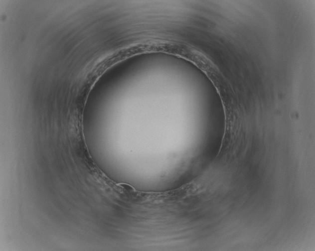 X0000074280773200609151851