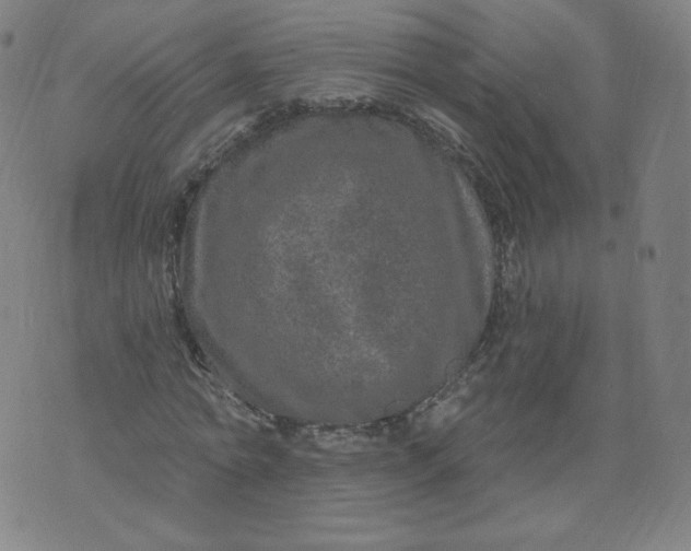 X0000074280774200609151851