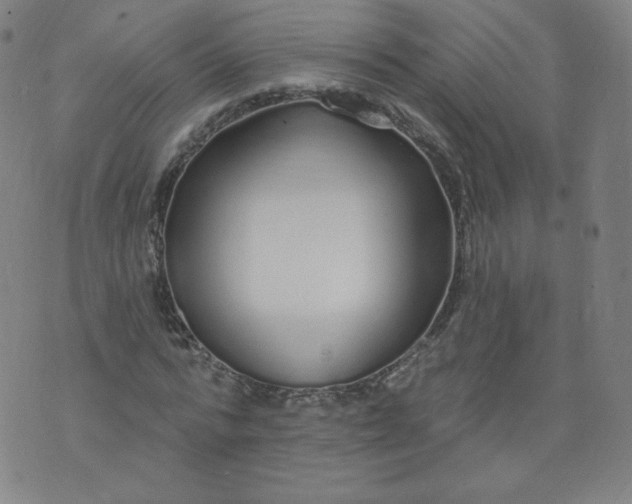 X0000074280776200609151851