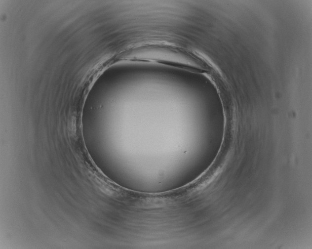 X0000074280777200609151851