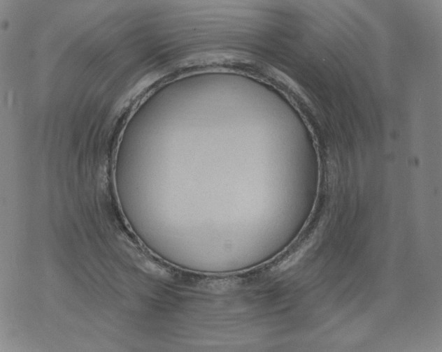 X0000074280778200609151851