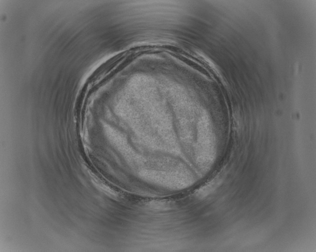 X0000074280779200609151851