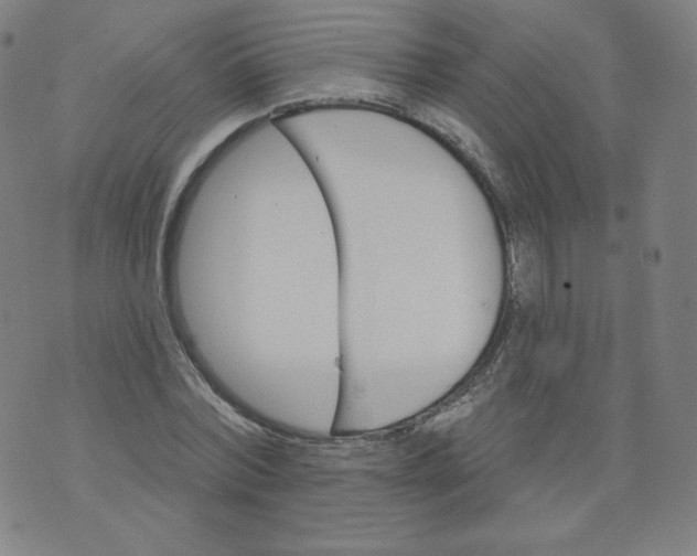 X0000074280780200609151851