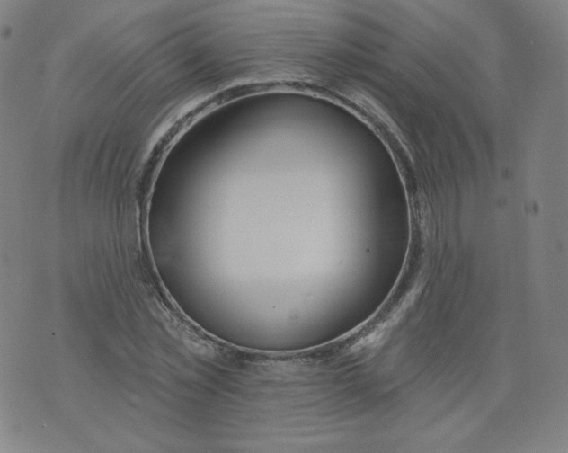 X0000074280781200609151851