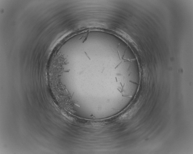 X0000074280782200609151851