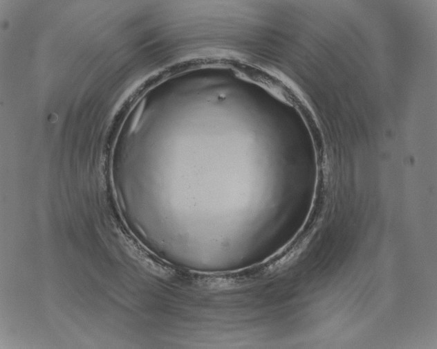 X0000074280783200609151851