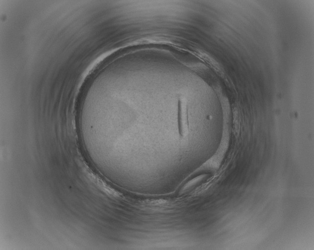 X0000074280784200609151851