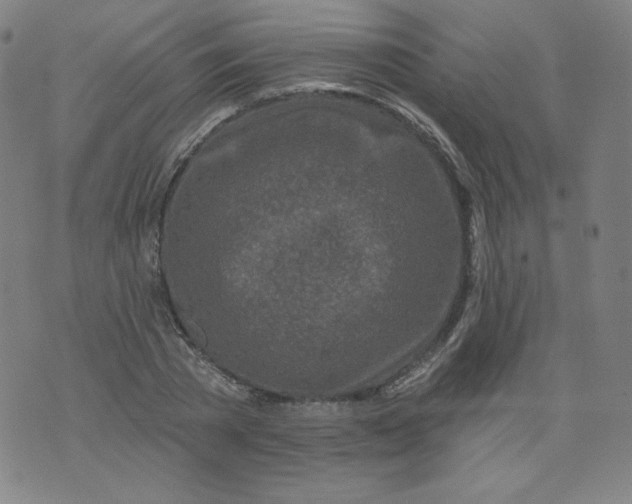 X0000074280785200609151851