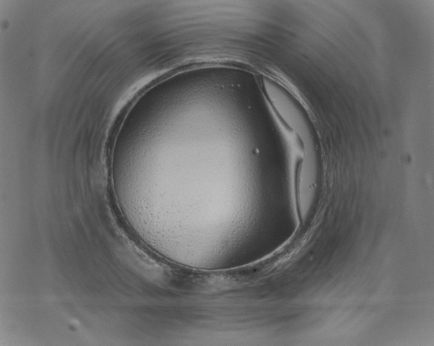 X0000074280787200609151851