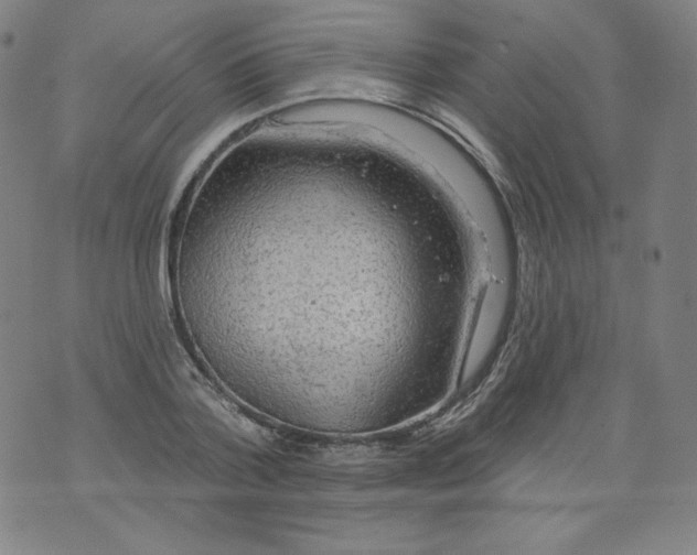 X0000074280788200609151851