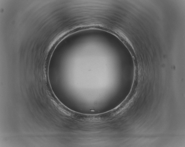 X0000074280789200609151851