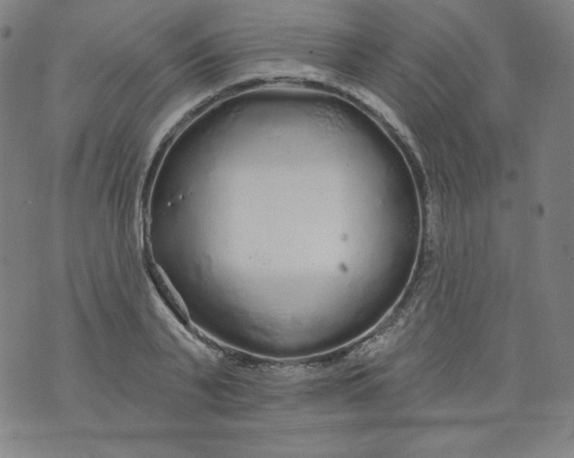 X0000074280791200609151851