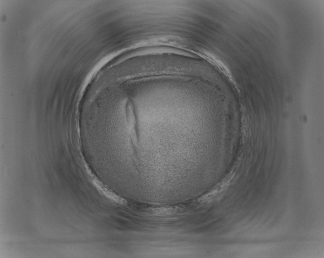 X0000074280792200609151851