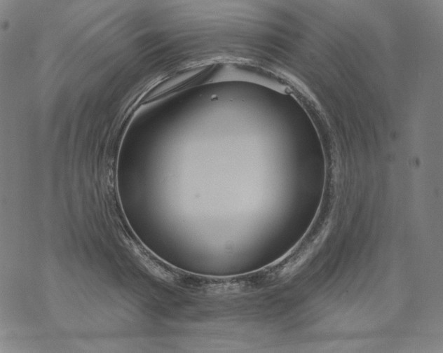 X0000074280793200609151850