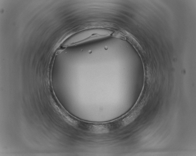 X0000074280794200609151850