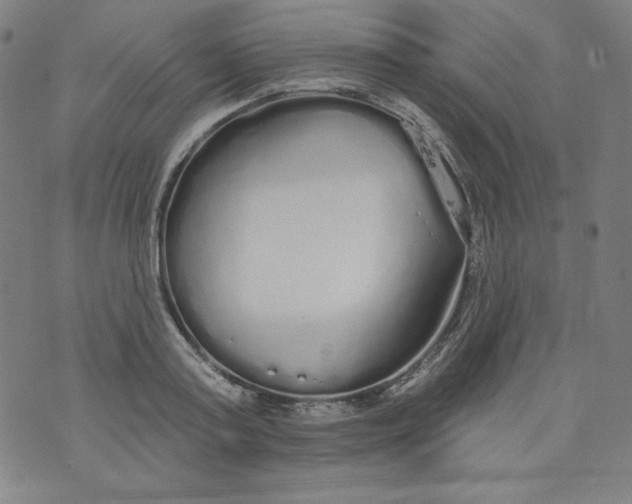 X0000074280795200609151850