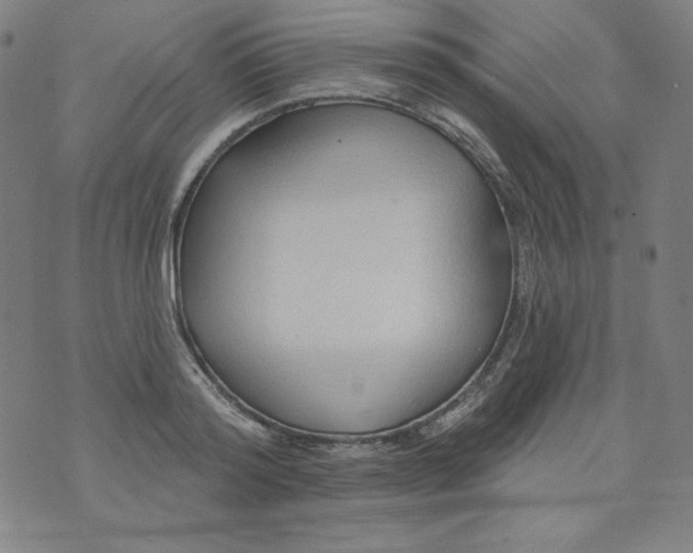 X0000074280796200609151850