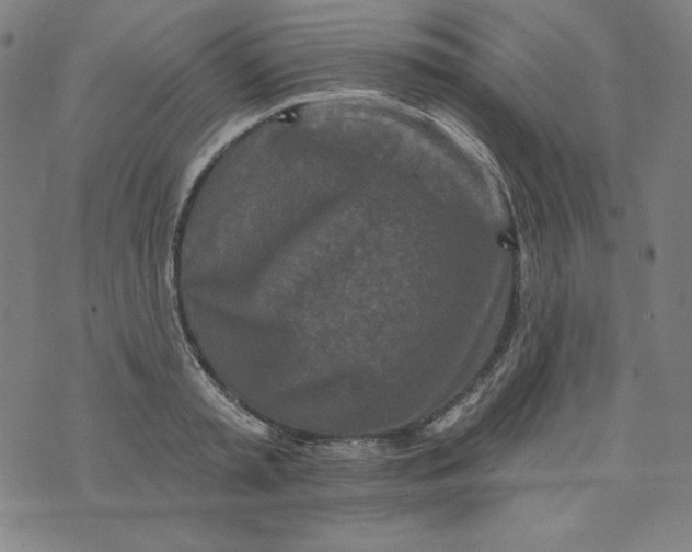 X0000074280797200609151850