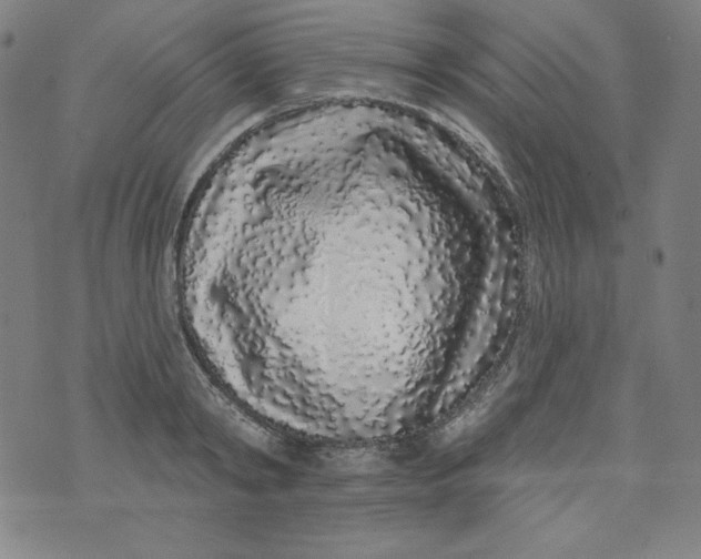 X0000074280798200609151850