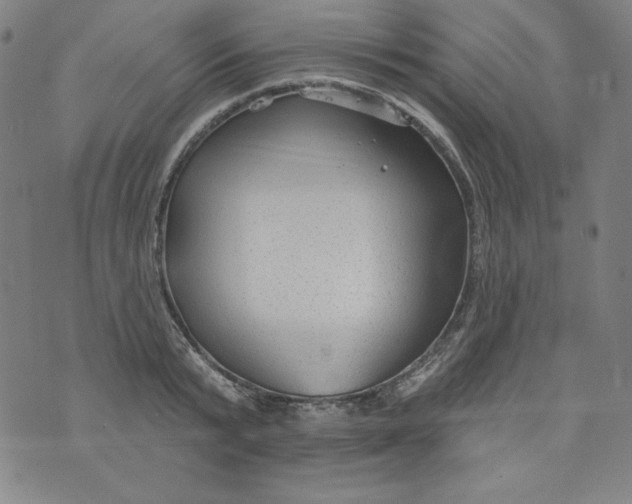 X0000074280799200609151850