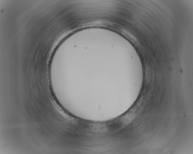 X0000074280800200609151850