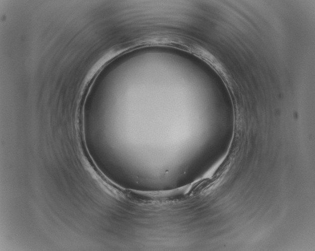 X0000074280803200609151850