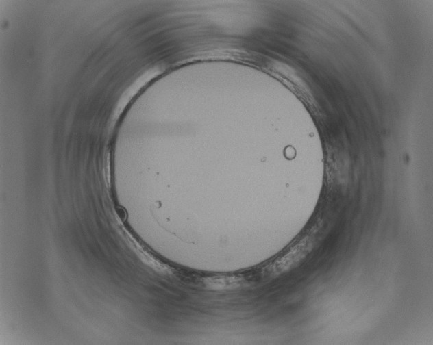 X0000074280804200609151850