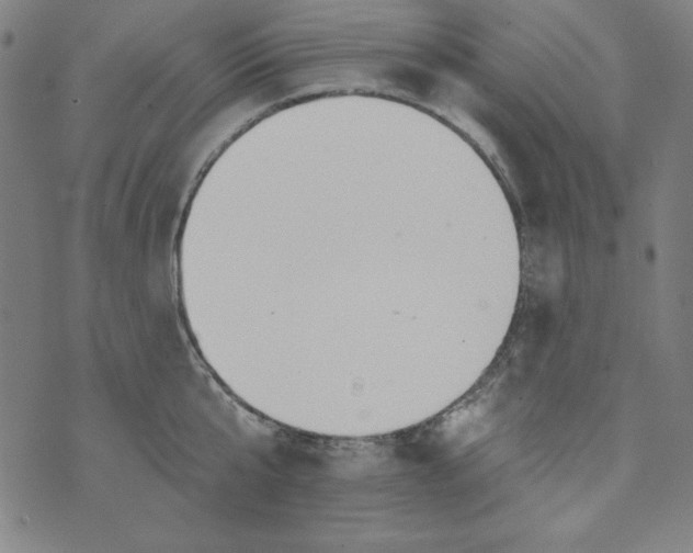 X0000074280807200609151850