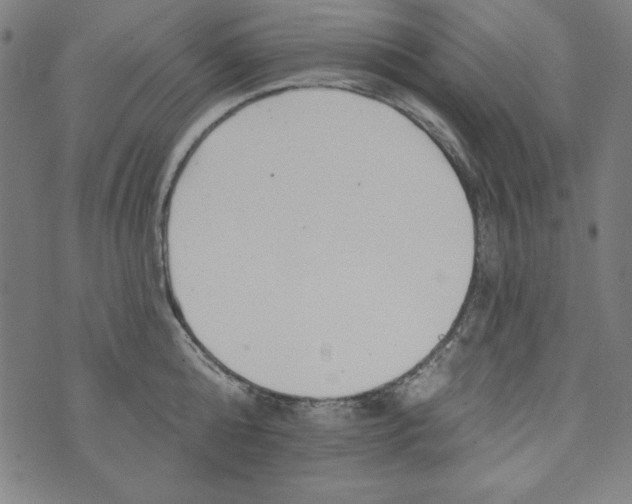 X0000074280808200609151850