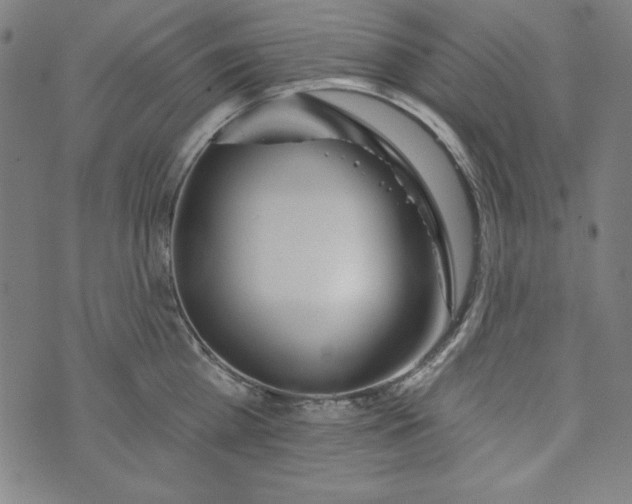 X0000074280809200609151850