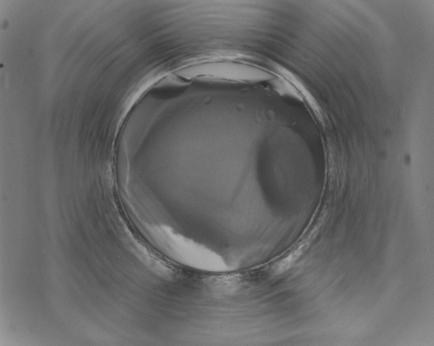 X0000074280810200609151850