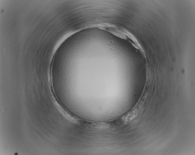 X0000074280811200609151850