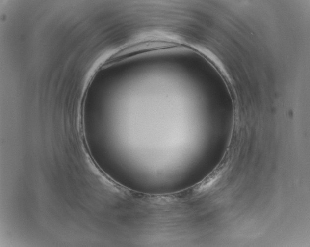 X0000074280815200609151850